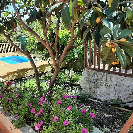 Вилла Carrubo - Giardino In Citta Катания Экстерьер фото