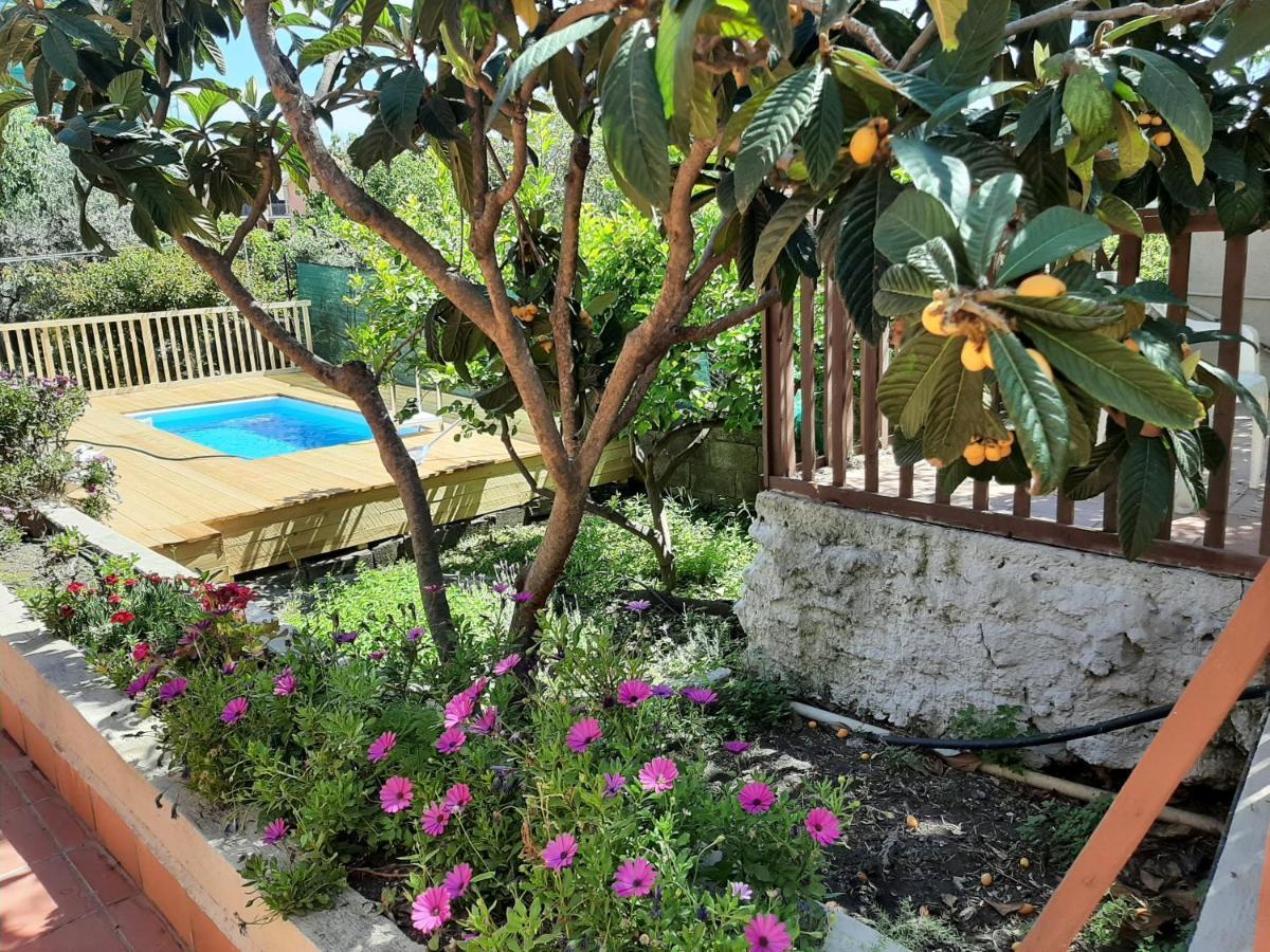 Вилла Carrubo - Giardino In Citta Катания Экстерьер фото