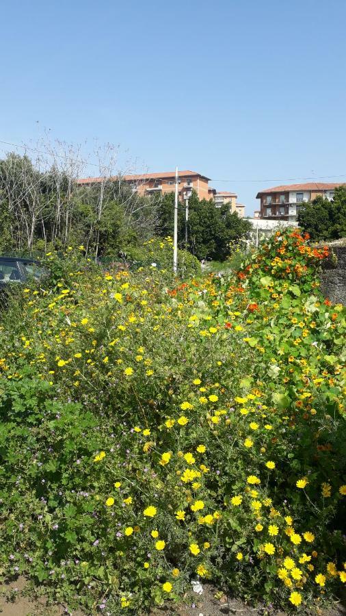 Вилла Carrubo - Giardino In Citta Катания Экстерьер фото